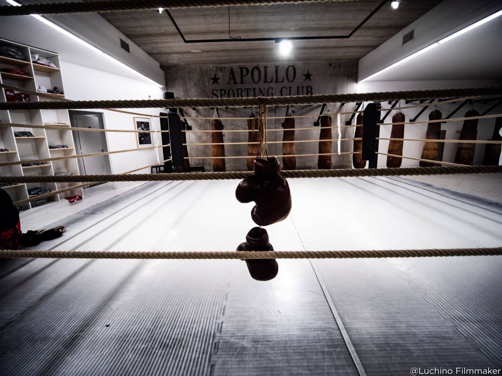 Idée de séminaires pour une entreprise de plus de 50 personnes à Paris 19 Rosa Parks