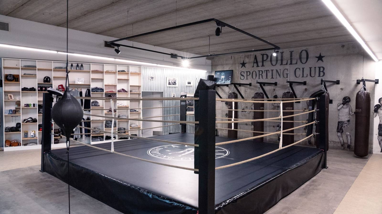 Quels sont les avantages d'une initiation à la boxe pour favoriser l'esprit d'équipe des salariés d'une entreprise ?