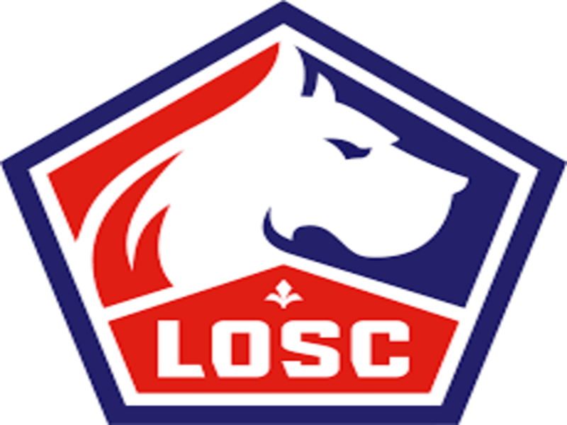 Club de football Lille 59000 LOSC